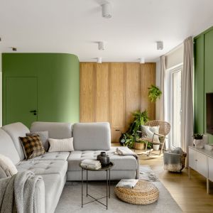 Zieleń to charakterystyczny kolor, który często pojawia się we wnętrzach w stylu vintage i mid-century modern. Projekt wnętrza Framuga Studio. Zdjęcia Aleksandra Dermont.jpg