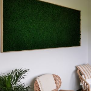 Zielona ściana może mieć dowolny rozmiar i kształt. Fot. Calla
