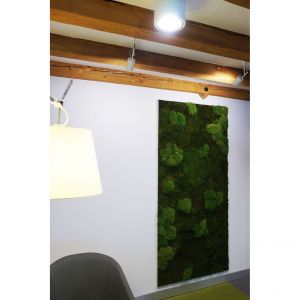 Zielona ściana poprawia nastrój, koncentrację i wydajność, która ma ogromne znaczenie podczas pracy w domu. Fot. Calla