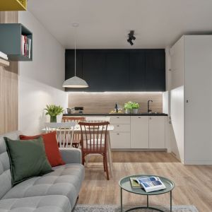 Mieszkanie na wynajem w ekologicznym budynku @Home na gdańskiej Zaspie. Projekt wnętrz: Design Anatomy. Zdjęcia: Tom Kurek