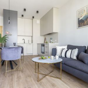 Mieszkanie na wynajem. Projekt wnętrza: architekt wnętrz Olga Nowosad-Szewców, Decoroom. Fot. Pion Poziom