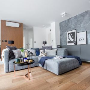 Szary salon ocieplony drewnem. Projekt: Decoroom. Fot. Pion Poziom