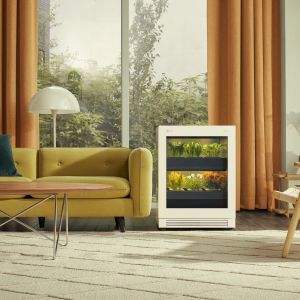 Inteligentny system LG tiiun, będący stylowym dodatkiem do domu lub mieszkania, sprawia, że uprawa ziół, warzyw liściastych i kwiatów jest przyjemna i prosta. Fot. LG Electronics
