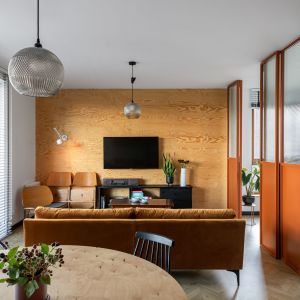 Ściana za telewizorem w salonie wykończona jest drewnem. Projekt: Barbara Klimek, Pracownia Barak. Zdjęcie: Jakub Nanowski, Perspektywa
