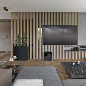 Ścianę za telewizorem w salonie zdobią drewniane listewki. Projekt: BAJERSOKÓŁ team. Zdjęcie: Tom Kurek