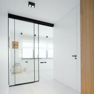 Szklane drzwi w stylu minimalistycznym. Fot. mat. prasowe Raumplus