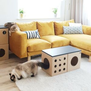 KOTartony - modułowe legowiska i meble dla kotów.  Fot. KOCIstyl