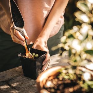 Unikatowym narzędziem zaprojektowanym z myślą o precyzyjnym sadzeniu i wysiewaniu nasion jest łopatka do wysiewu Solid™. 