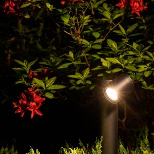Znakomitym pomysłem na klimatyczne podświetlenie ozdobnej roślinności są minimalistyczne reflektorki o nowoczesnym wyglądzie – Tubings. Cena: od 129 zł. Fot. Nowodvorski Lighting