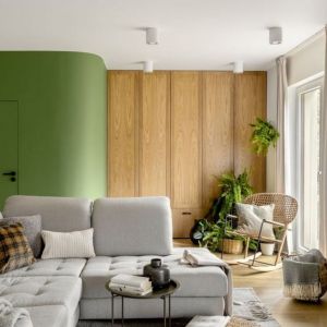 Zielone ściany w salonie. Projekt: Framuga Studio. Fot. Aleksandra Dermont
