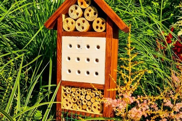 Jak zrobić domek dla pszczół do ogrodu?
