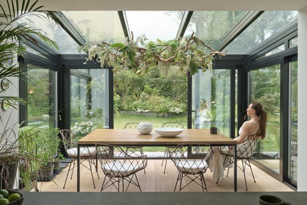 Rośliny we wnętrzu. 20 pomysłów na domową dżunglę. Piękne zdjęcia!