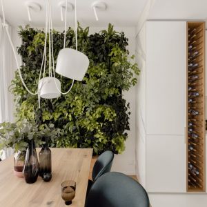 Ekologia i rośliny to ważny trend w aranżacji salonu w 2022 roku. Projekt: Kamila Szamot, pracownia LIM. Zdjęcia: Aleksandra Dermot