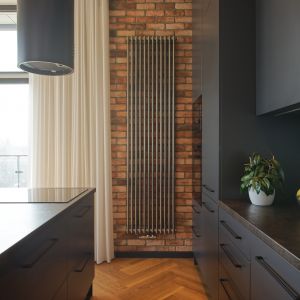Industrialne w stylu grzejniki w salonie. Projekt: Marta Michalak-Najderek, m-studio. Zdjęcia: Radek Słowik