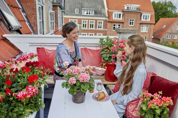 Pelargonie kwitną cały sezon! Są idealne na balkon i taras!
