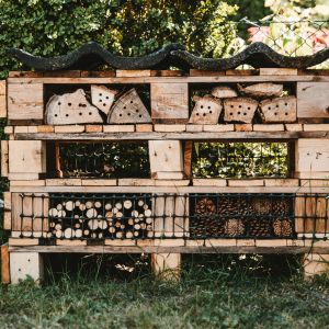 Wykonanie domku dla pszczół nie wymaga wielkich umiejętności. Potrzebne są za to odpowiednie materiały, z których powstanie solidna konstrukcja. Fot. Unsplash