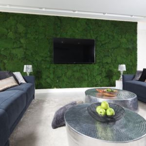 Ścianę ze telewizorem w salonie zdobi naturalny mech. Projekt: Dariusz Grabowski. Zdjęcie: Bartosz Jarosz