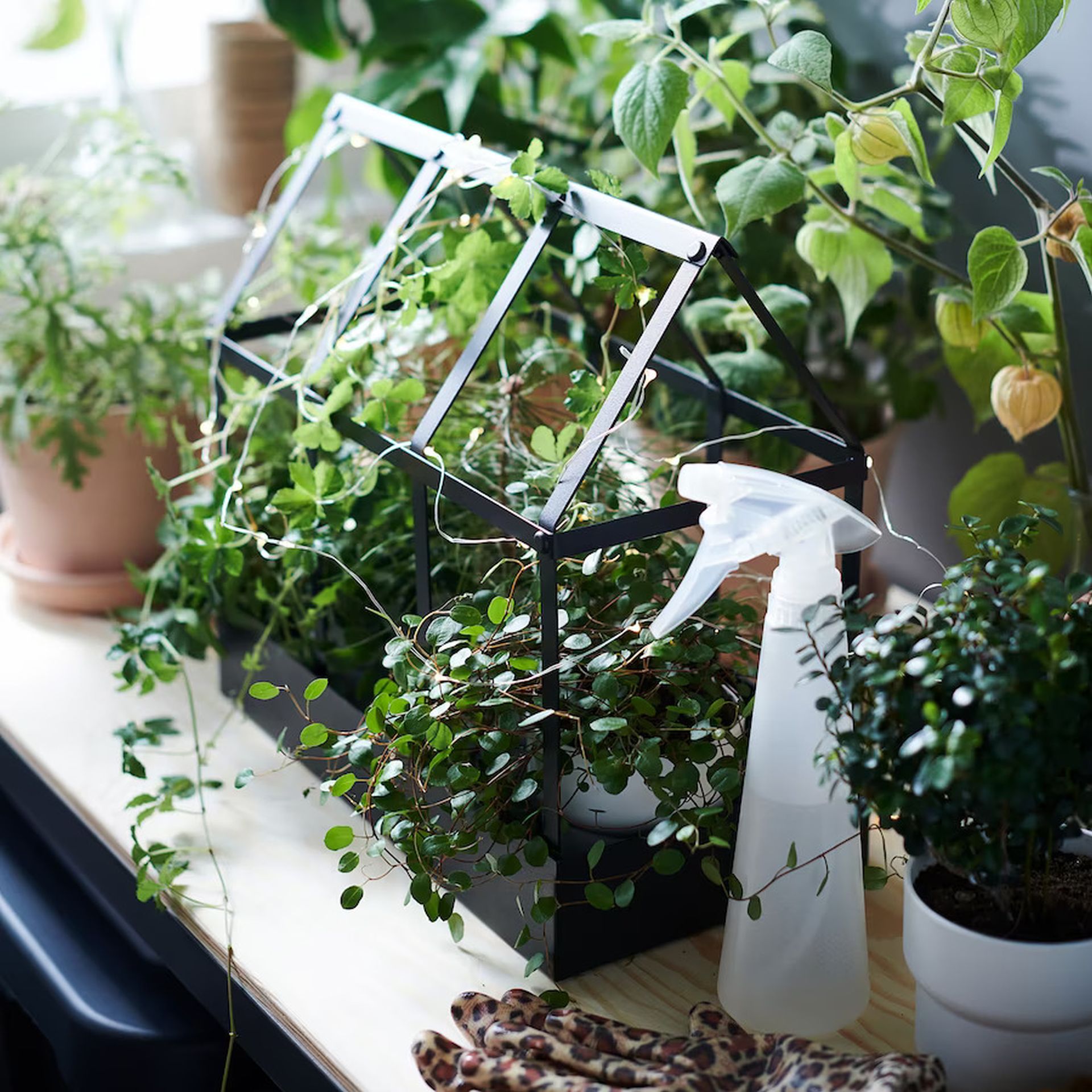 Na balkonie bez problemu możesz hodować zioła i inne warzywa. Fot. IKEA
