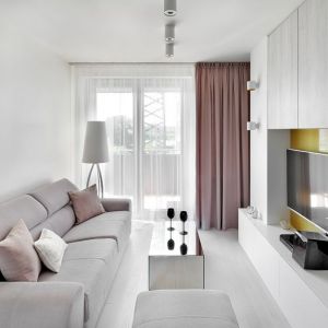 Sofa w jasnym, szarym kolorze w małym salonie. Projekt: Katarzyna Rohde, pracownia HOME & STYLE. Fot. Bernard Białorucki, studio Art Media Factory