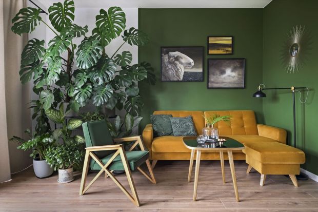 Domowa dżungla w Gdyni: piękne zielone mieszkanie projektantki!