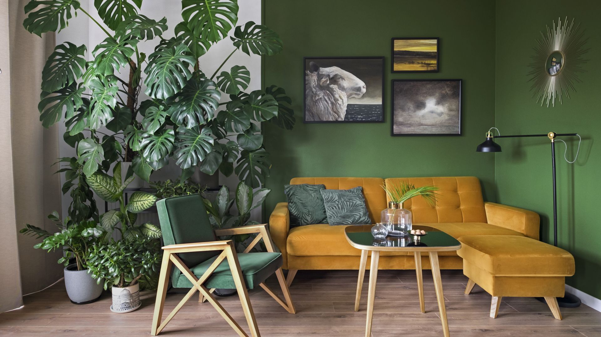 Małe mieszkanie w Gdyni. Zielona ściana w salonie jest super!