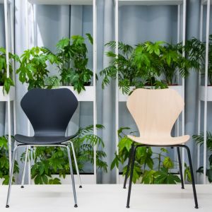 Krzesła KA237 Classic i KA237 Contract będą uzupełnieniem eleganckich przestrzeni i przedmiotem idealnym do codziennego użytkowania. Fot. Vzor