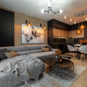 Pomysł na loftowy salon w mieszkaniu w bloku. Projekt wnętrza Sandra Białowska, Dobry Układ. Fot. Studio Prototypownia.jpg