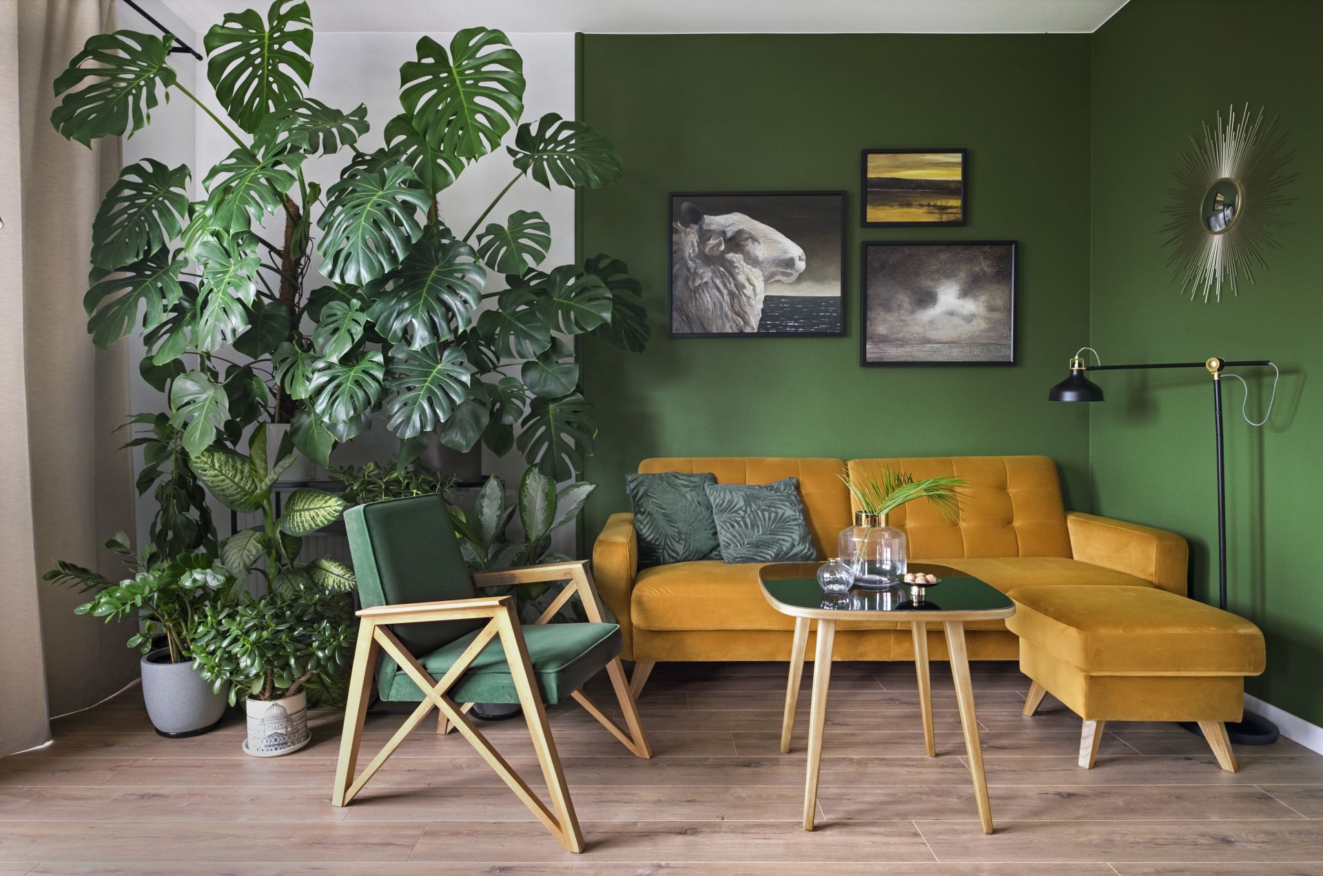 Jak ustawić kanapę w salonie? Narożnik i fotel. Projekt wnętrza Pura Design