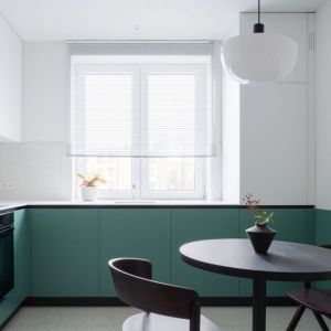 Zielone szafki w nowoczesnej kuchni. Projekt wnętrza: pracowni 3XEL. Fot. Dariusz Jarząbek