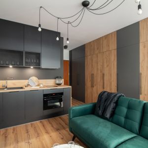 Zielona sofa w nowoczesnym salonie z kuchnią. Projekt i zdjęcia: KODO Projekty i Realizacje Wnętrz