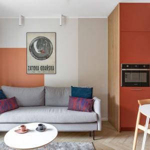Mały salon w 29-metrowym mieszkaniu w bloku. Projekt wnętrza: autorska pracownia Vzorovo. Fot. Natalia Kaczmarek, Inkadr