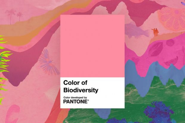 Pantone stworzył kolor inspirowany bioróżnorodnością