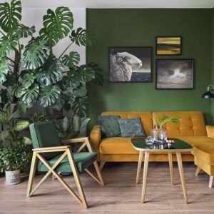 Zielona ściana w małym salonie w bloku. Projekt wnętrza i zdjęcie: Pura Design