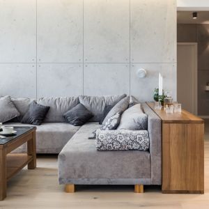 Ścianę za kanapą w salonie zdobią betonowe płyty. Projekt wnętrza i zdjęcia: KODO Projekty i Realizacje Wnętrz