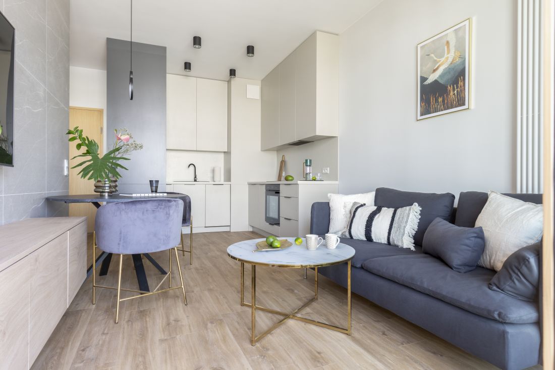 Mały aneks kuchenny w nowoczesnym salonie. Projekt wnętrza Architekt wnętrz Olga Nowosad-Szewców, Decoroom. Fot. Pion Poziom