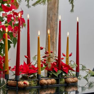 Kompozycja z gwiazdą betlejemską na świąteczny stół. Zdjęcia: Stars for Europe, kampania unijna Stars Unite Europe