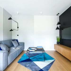 Kanapa w szarym kolorze i niebieski dywan w salonie w bloku. Projekt wnętrza: Sandra Maculewicz. Zdjęcia: Łukasz Pepol