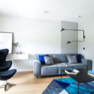 Kanapa w szarym kolorze i niebieski dywan w salonie w bloku. Projekt wnętrza: Sandra Maculewicz. Zdjęcia: Łukasz Pepol