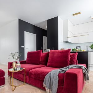 Kanapa w kolorze bordowym w salonie. Projekt wnętrza: Decoroom. Fot. Pion Poziom