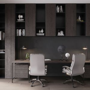 Pokój do pracy w domu. Projekt wnętrza: MIKOŁAJSKAstudio