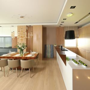 Drewno i kolory ziemi w nowoczesnym salonie z kuchnią. Projekt wnętrza: Laura Sulzik. Fot. Bartosz Jarosz