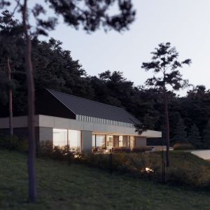 Nowoczesny dom z widokiem na Karkonosze. Projekt i wizualizacja: todos.architekci