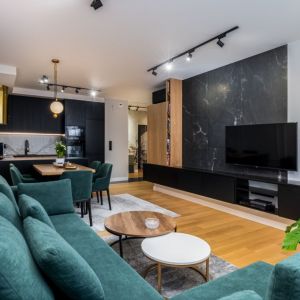 Ściany w salonie: spiek gresowy i szara sztukateria. Projekt wnętrza: Agnieszka Tarnawska, Tarna Design Studio. Fot. Karol Kleszyk, Promo Focus
