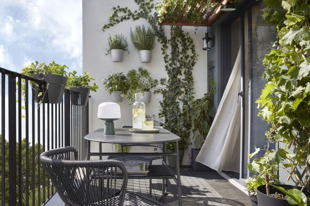 Każdy balkon może zostać mini ogródkiem. Co uprawiać? W donicach możemy sadzić zioła, warzywa i owoce. To idealny pomysł na początek sezonu wiosennego.