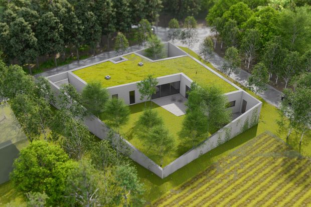 Zielony dach czy ogród na dachu to pomysł, który pojawia się w Polsce coraz częściej - nie tylko na budynkach użyteczności publicznej, ale także na domach. Jakie są zalety zielonego dachu i co warto wiedzieć o tym rozwiązaniu?
