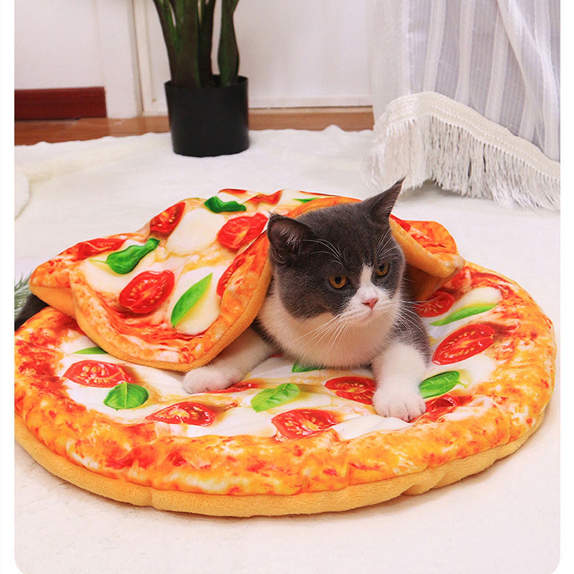 Legowisko w kształcie pizzy - dla kota. Źródło: AliExpress