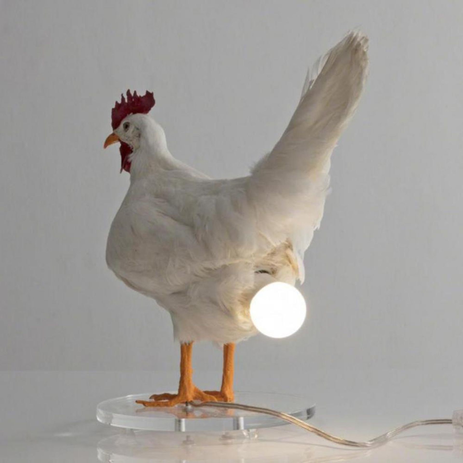 Lampka na biurko - kura, która świeci... jajkiem. Źródło: AliExpress