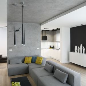 Czarne płytki i tynk na ścianie w minimalistycznym salonie. Projekt wnętrza: Karolina Stanek-Szadujko i Łukasz Szadujko. Fot. Bartosz Jarosz