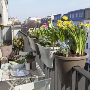 Rośliny na balkonie. Fot. Shutterstock
