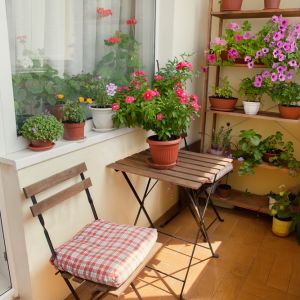 Kolorowe kwiaty to idealnie rozwiązanie nawet na mały balkon. Fot. Shutterstock